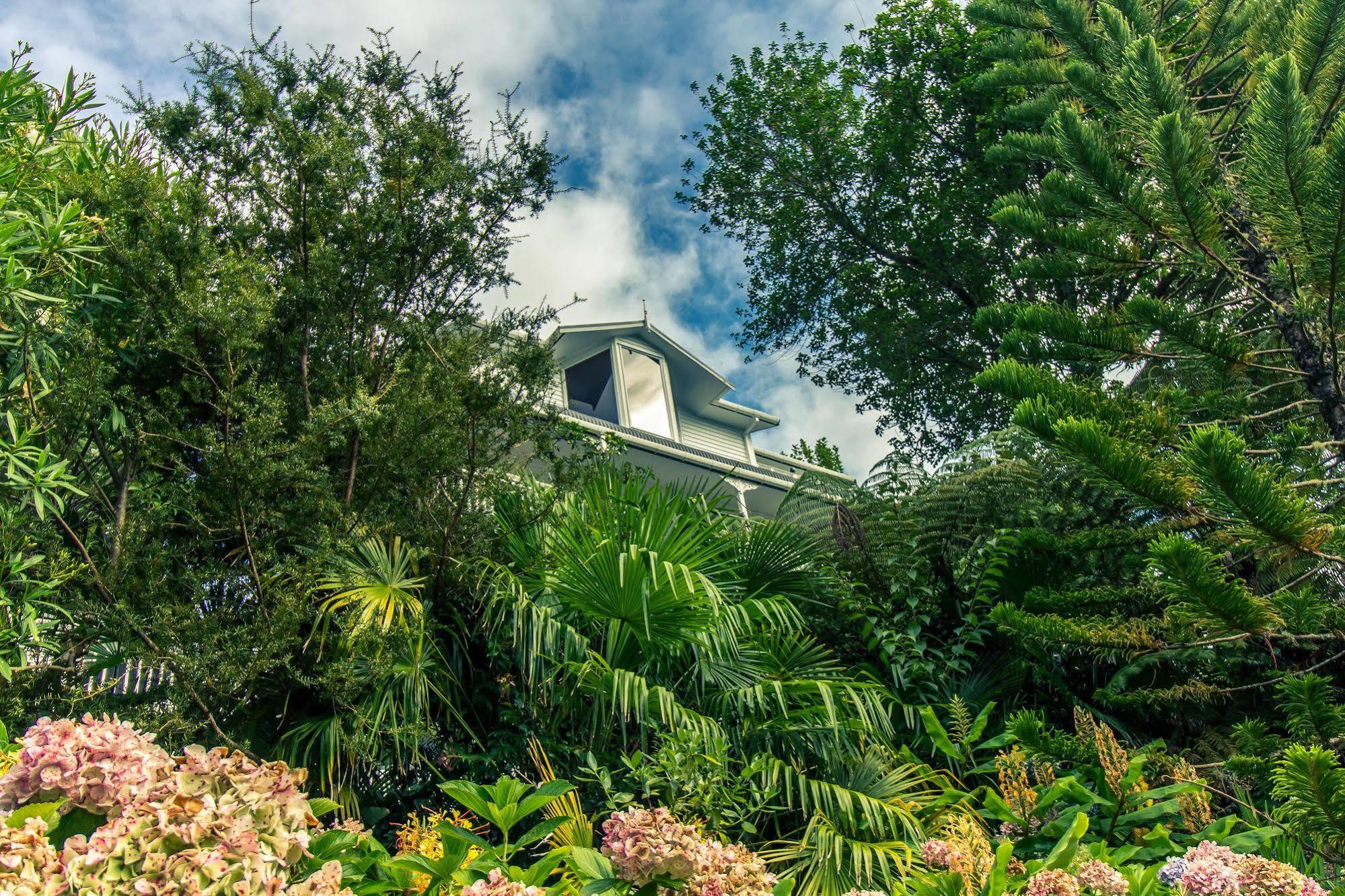 Marlin House Bed & Breakfast Paihia Dış mekan fotoğraf